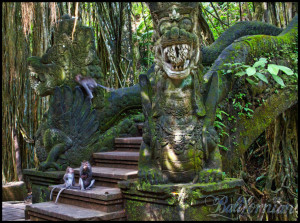 bali-wellness-monkey-forest-eat