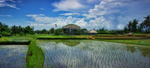 bali-hotel-villa-landscape-1024x466