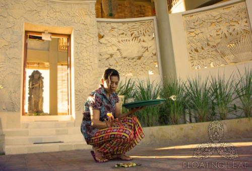 Eco-Bali-morning-offerings