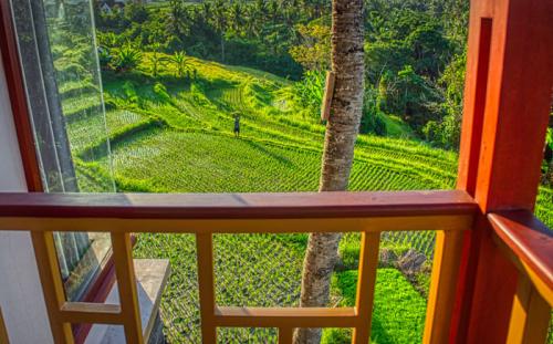 Many patios offer 180-degree views of terraced rice fields, The Petanu River, and Mt Agung